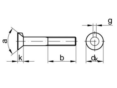 DIN604 M12x55 Zn        - roub zpustn s nosem  SN021324