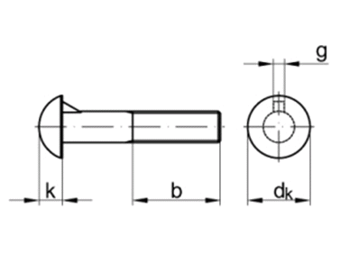 DIN607 M12x42 10.9 Zn        - roub plkulat  s nosem