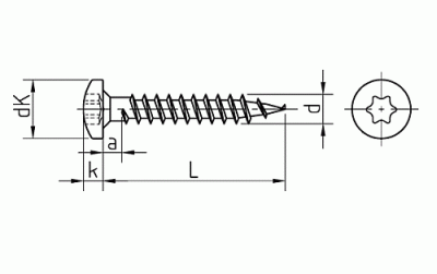 Vrut 4x30 A2  plk.hl. TORX